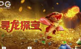 bwin必赢2024最新版