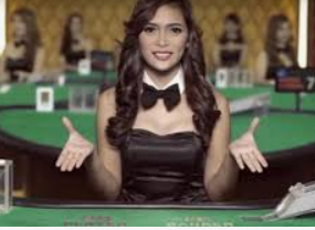 bwin必赢2024最新版